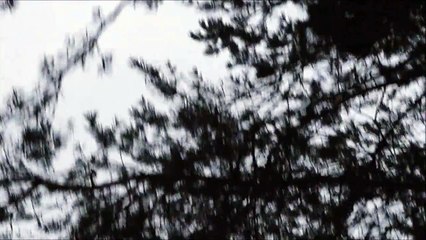 Lykke Li  I Follow Rivers (Director Tarik Saleh) (OFFICIAL VIDEO)