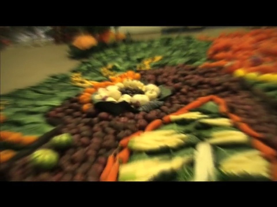 PotiDragon, le dragon de la Ria dans les choux