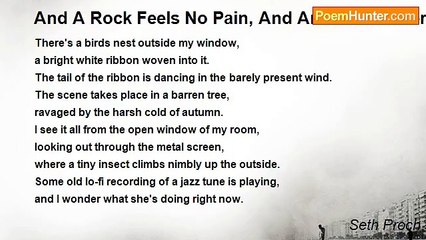 Seth Proch - And A Rock Feels No Pain, And An Island Never Cries