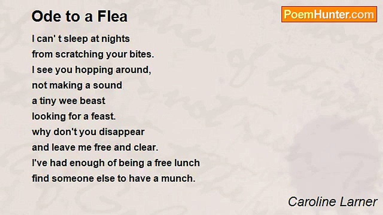 Caroline Larner - Ode to a Flea