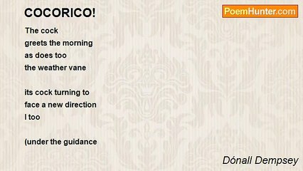 Dónall Dempsey - COCORICO!