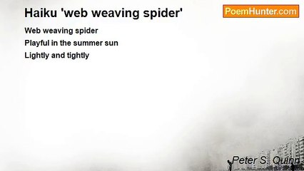 Peter S. Quinn - Haiku 'web weaving spider'