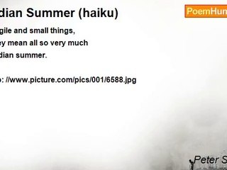 Peter S. Quinn - Indian Summer (haiku)