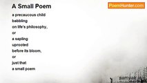 samyak jain - A Small Poem