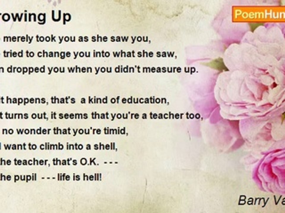 Barry Van Allen - Growing Up