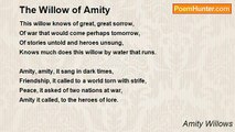 Amity Willows - The Willow of Amity