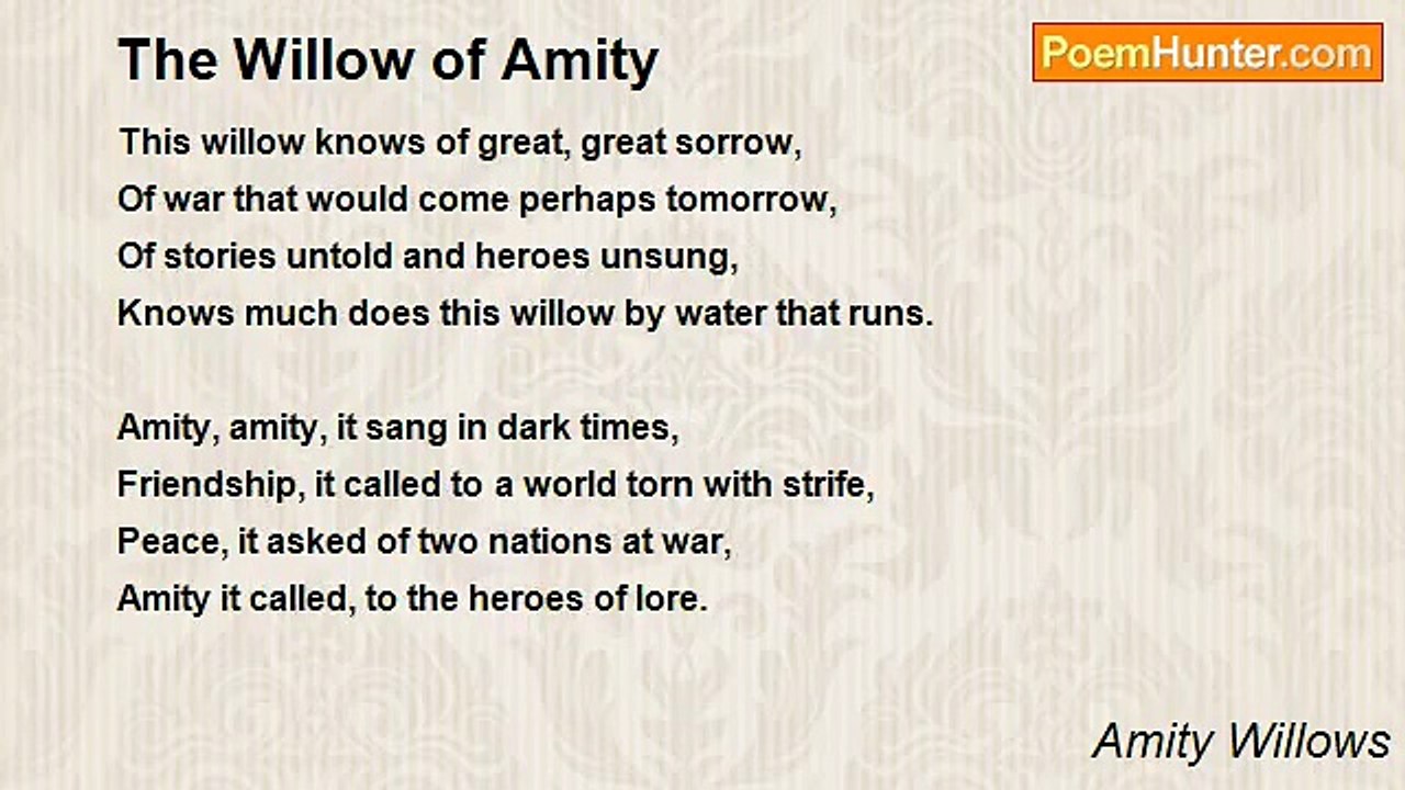 Amity Willows - The Willow of Amity