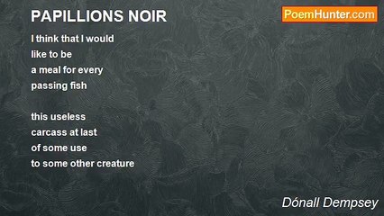 Dónall Dempsey - PAPILLIONS NOIR