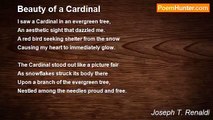 Joseph T. Renaldi - Beauty of a Cardinal