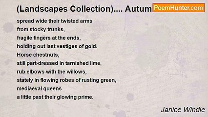 Janice Windle - (Landscapes Collection).... Autumn Trees