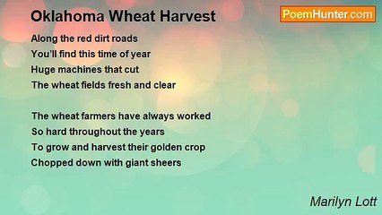 Marilyn Lott - Oklahoma Wheat Harvest