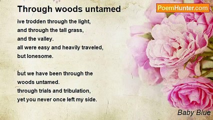 Baby Blue - Through woods untamed