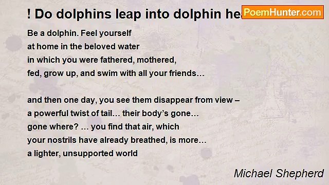 Michael Shepherd - ! Do dolphins leap into dolphin heaven?