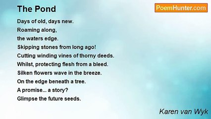 Karen van Wyk - The Pond