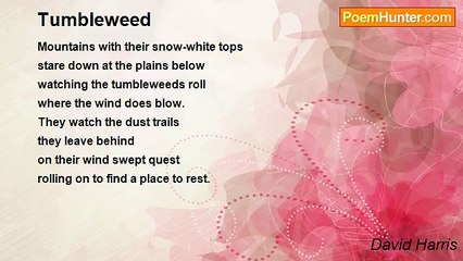 David Harris - Tumbleweed