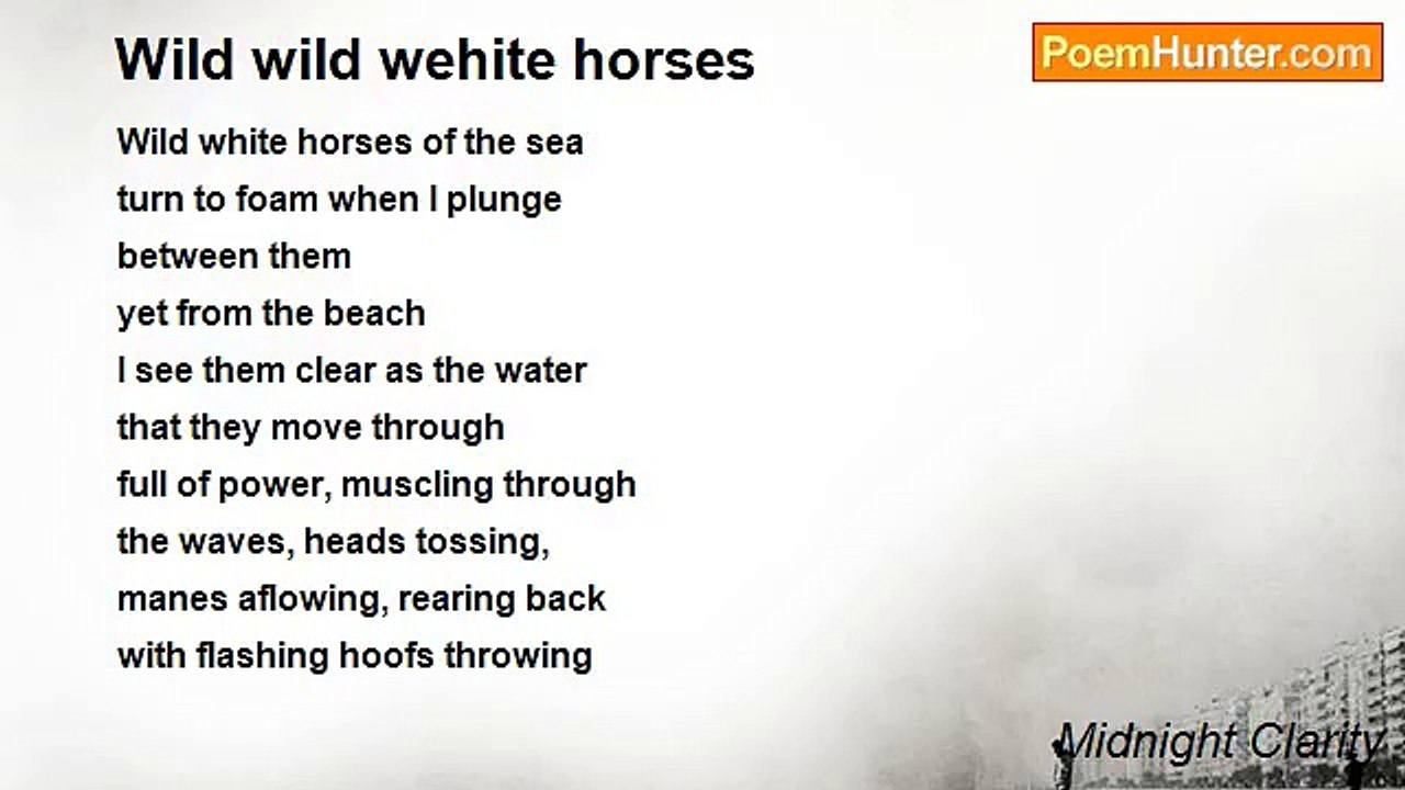 Midnight Clarity - Wild wild wehite horses