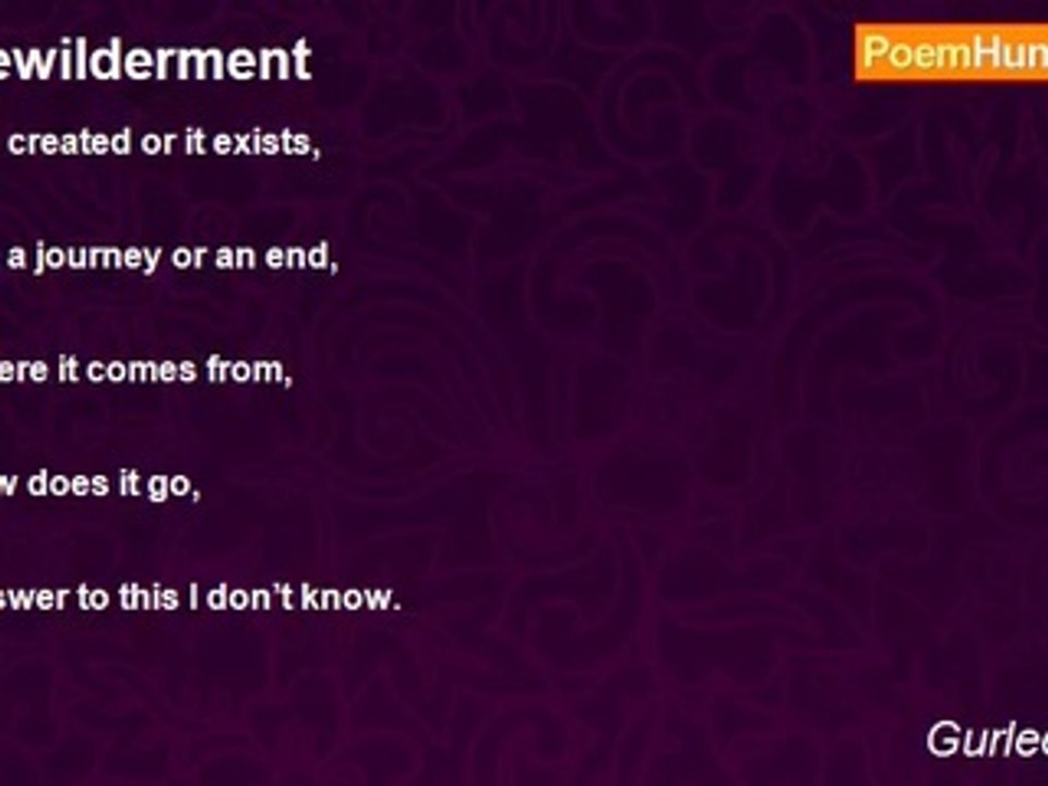 Gurleen Kaur - Bewilderment