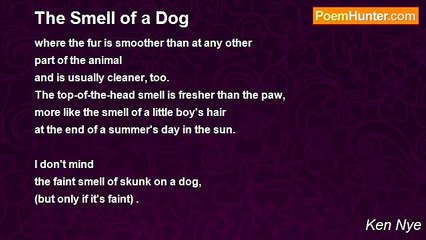 Ken Nye - The Smell of a Dog