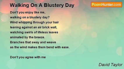 David Taylor - Walking On A Blustery Day