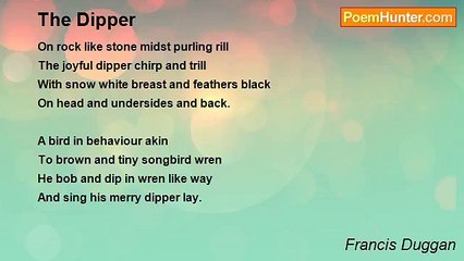 Francis Duggan - The Dipper