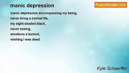 Kyle Schaerffer - manic depression