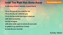 Ashley Meier - Until The Pain Has Gone Away