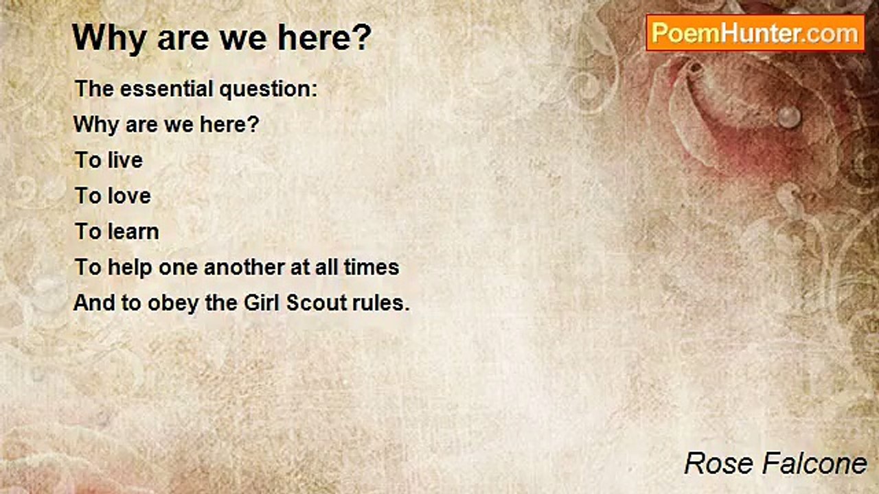 Rose Falcone - Why are we here?