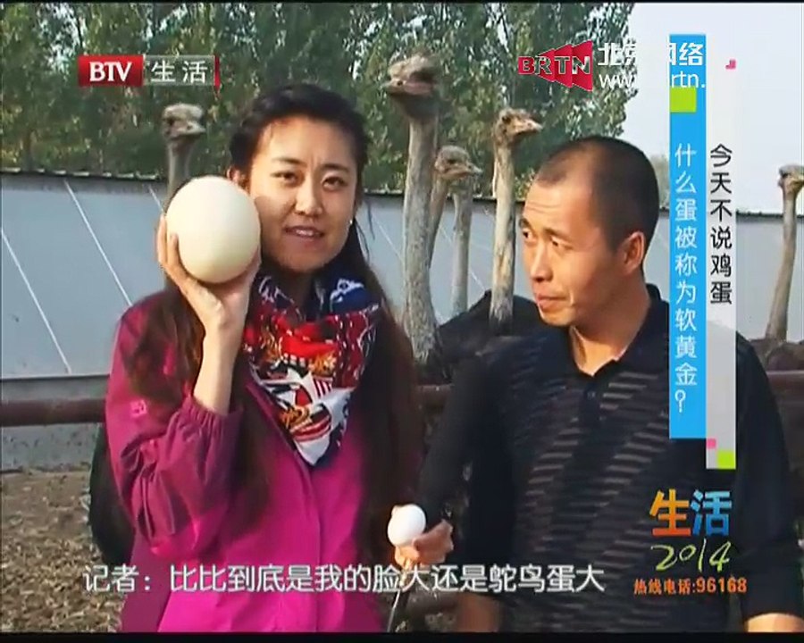 生活2014 2014-10-28