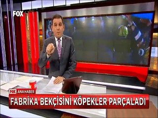 Fabrika bekçisini Alman Kurtları parçaladı genç adam kurtarılamadı