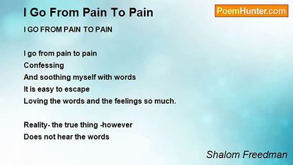 Shalom Freedman - I Go From Pain To Pain