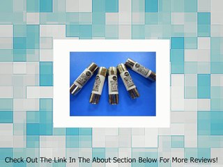 20Pcs 10mm x 38mm 6A 380V Electrical Cylindrical Tube Ceramic Fuse Links