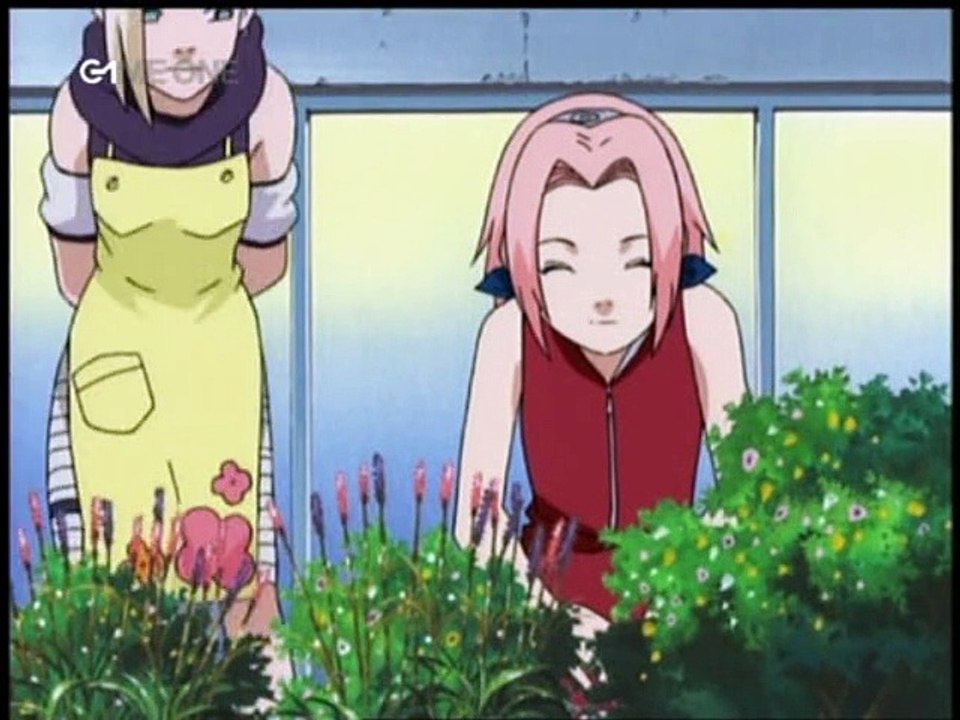 Un voeu fait a une fleur