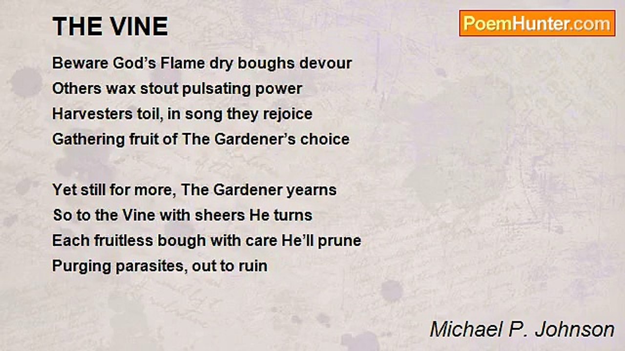Michael P. Johnson - THE VINE