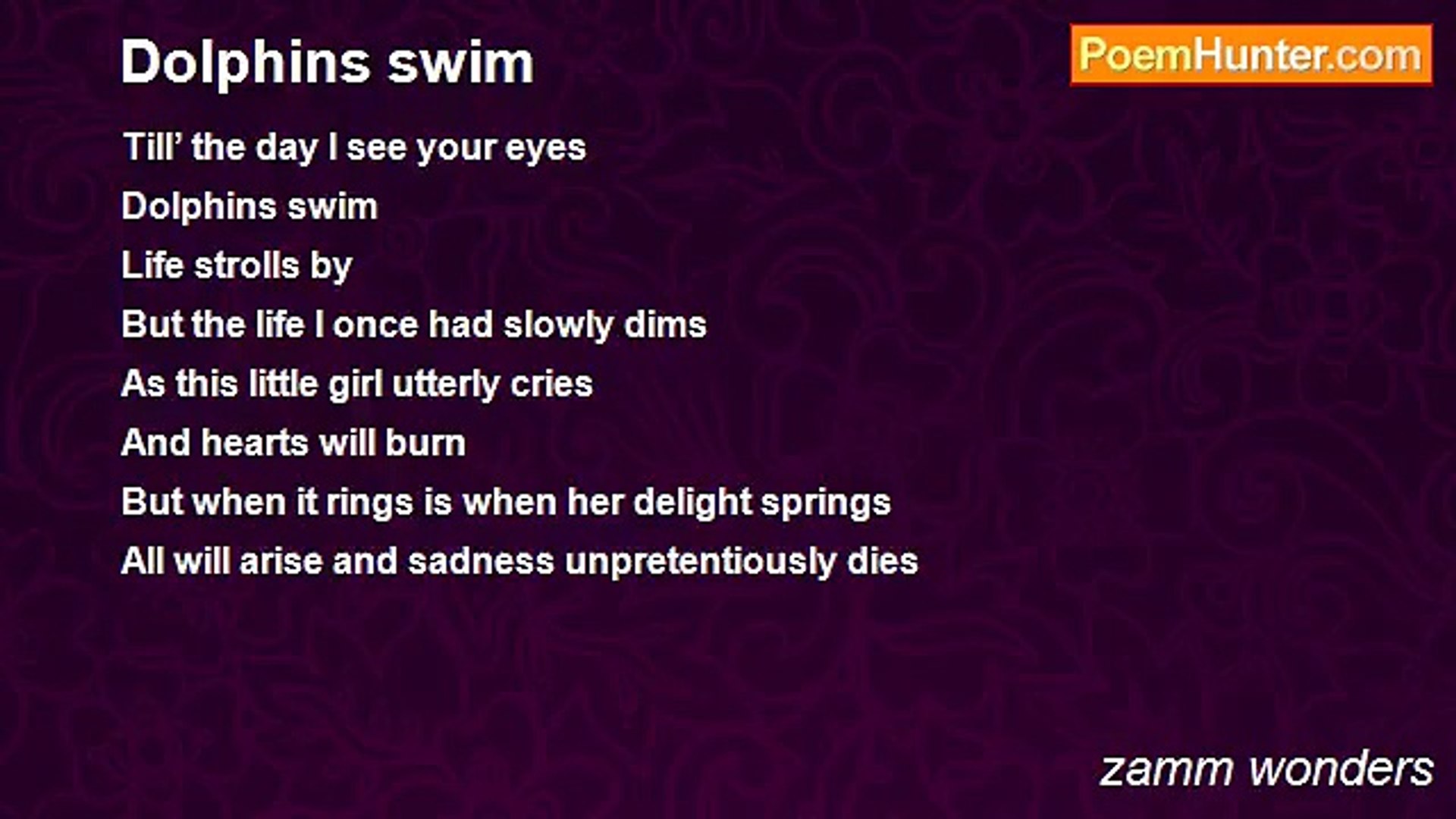 ⁣zamm wonders - Dolphins swim