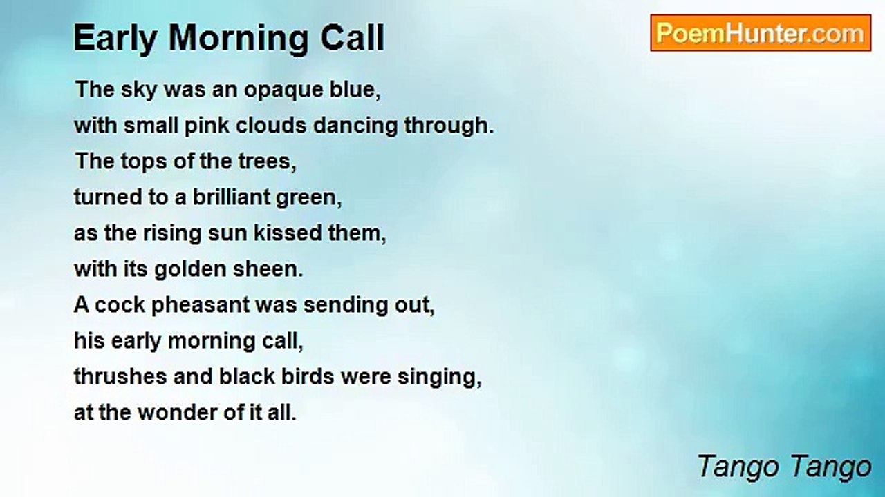Tango Tango - Early Morning Call