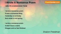Shalom Freedman - I Wrote A Nonsense Poem