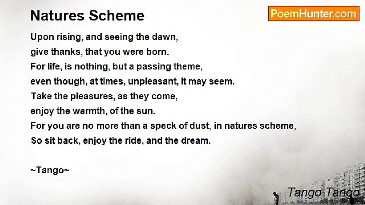 Tango Tango - Natures Scheme