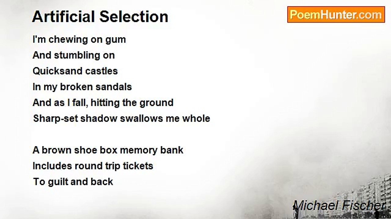 Michael Fischer - Artificial Selection