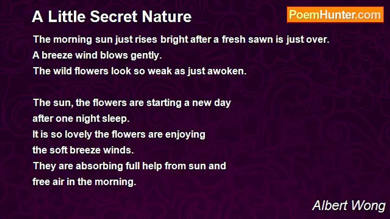 Albert Wong - A Little Secret Nature
