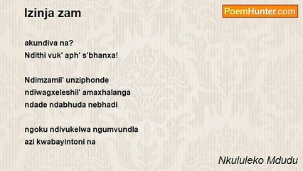 Nkululeko Mdudu - Izinja zam