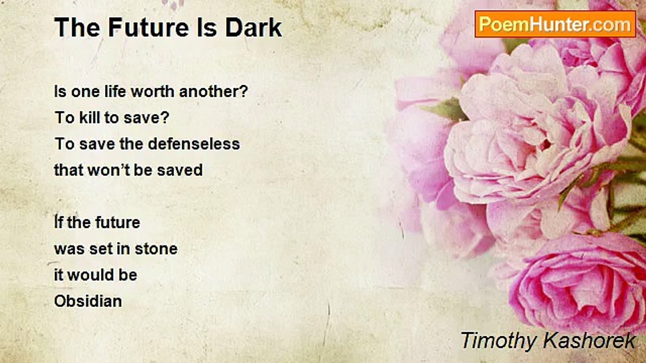 Timothy Kashorek - The Future Is Dark
