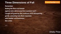 Shelly Price - Three Dimensions of Fall