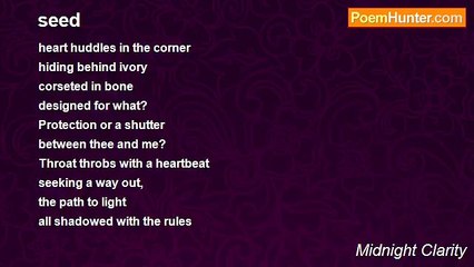 Midnight Clarity - seed