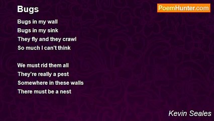 Kevin Seales - Bugs