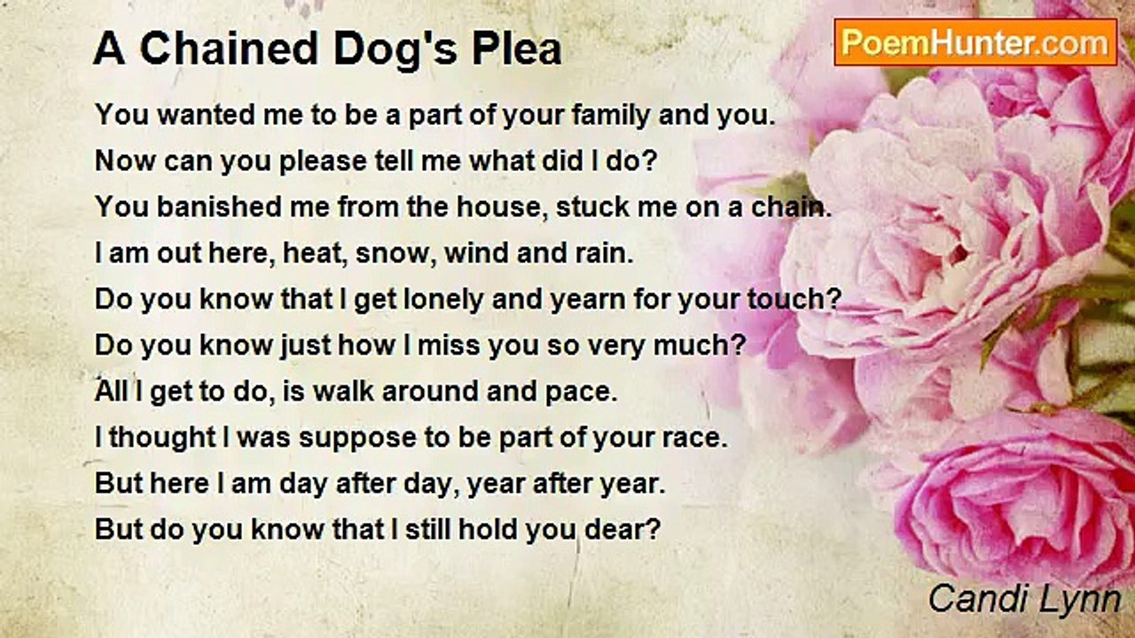 Candi Lynn - A Chained Dog's Plea