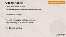 Gold Fish - Ode to Ashlea