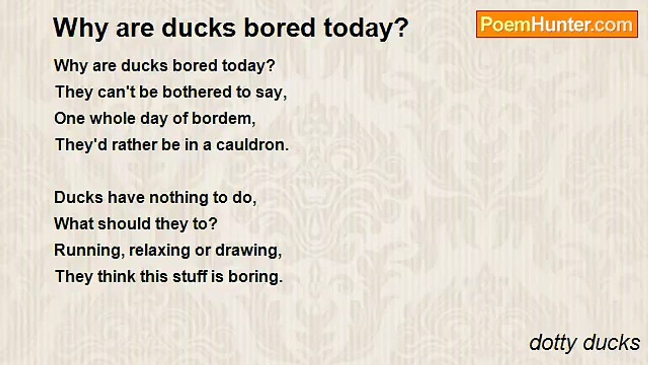 dotty ducks - Why are ducks bored today?
