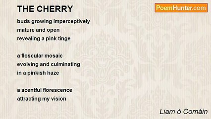 Liam ó Comáin - THE CHERRY