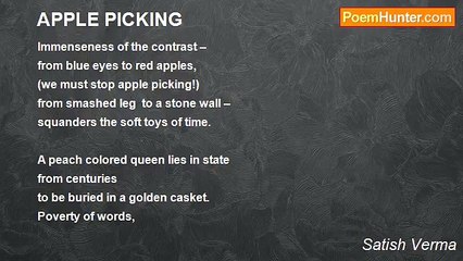 Satish Verma - APPLE PICKING