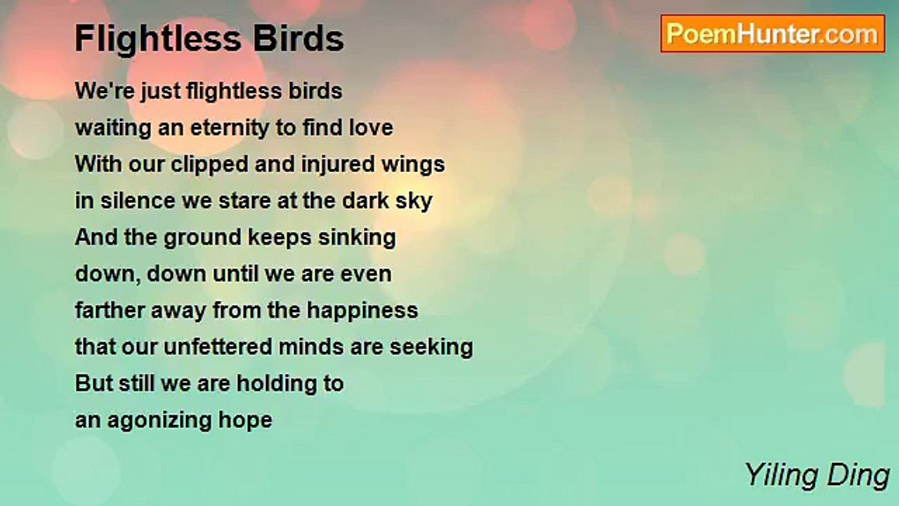 Yiling Ding - Flightless Birds